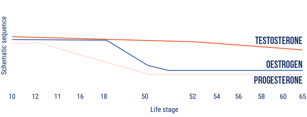 menopause-chart.png
